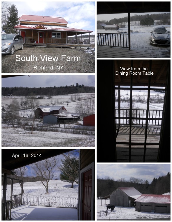 South View Farm (April 2014)